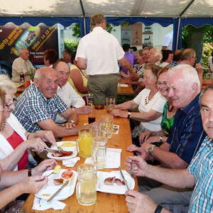 Fotos vom Pfarrfest 2014