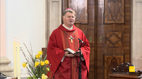 Palmsonntagsgottesdienst mit Bischof Manfred Scheuer