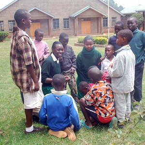  Stern der Hoffnung - Aktion sei so Frei 2011