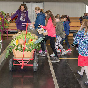 Ennsleitner Erntedankfest 2017