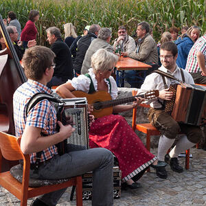 1. Schallerbacher Musiroas