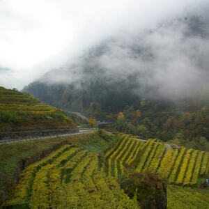 Pfarrreise Südtirol