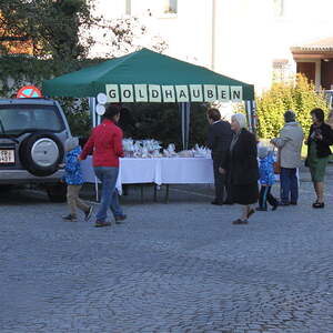 Pfarre Neumarkt im Mühlkreis