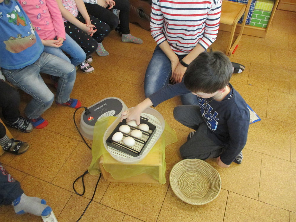 Projekt im März und April 2019