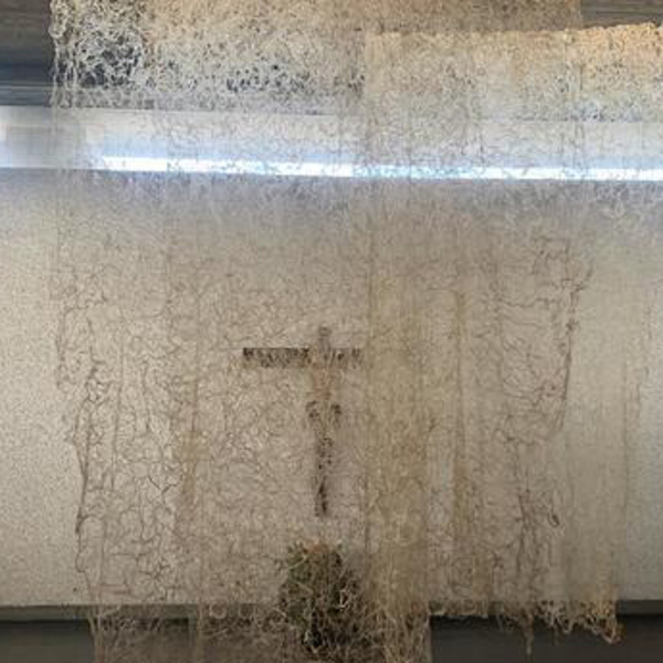 Das Fastentuch als Kunstwerk