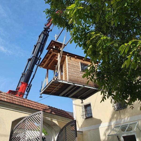 Kleine Schwester kommt