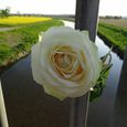 Rose zum Gehdenken                               