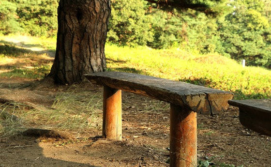 Freier Sonntag, Spaziergang...