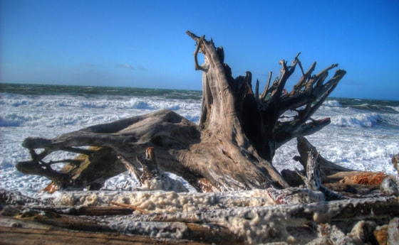 httpcdn.morguefile.comimageDatapublicfilesbBryanHanson02l145610885343u86