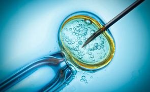 In vitro fertilisation, IVF macro concept