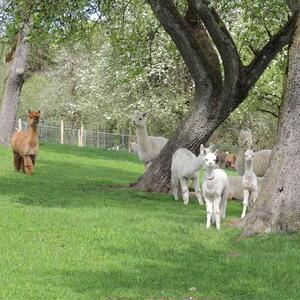 Pilgerwanderung 2022