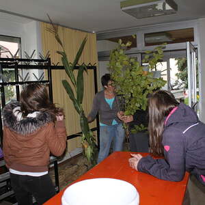 Pfarre Neumarkt im Mühlkreis