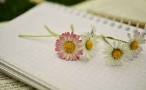Notizbuch mit Blumen