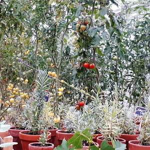 Pfarrausflug Pettenbach