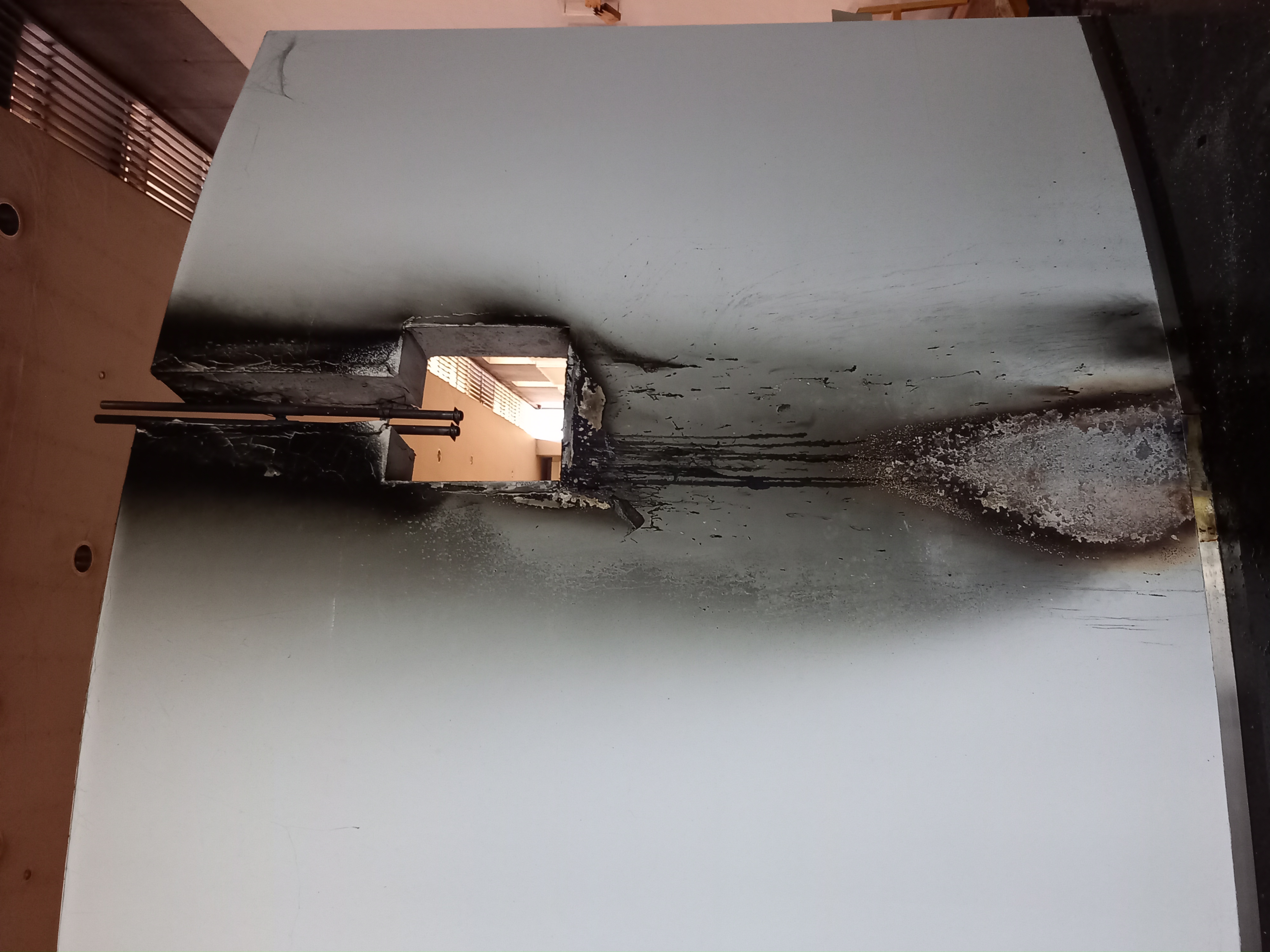 Pfarre Treffling / Anna Humpelsberger 14.06.2021