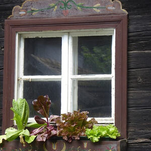 Betriebsausflug 2016