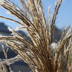 Advent in Ansfelden 2016