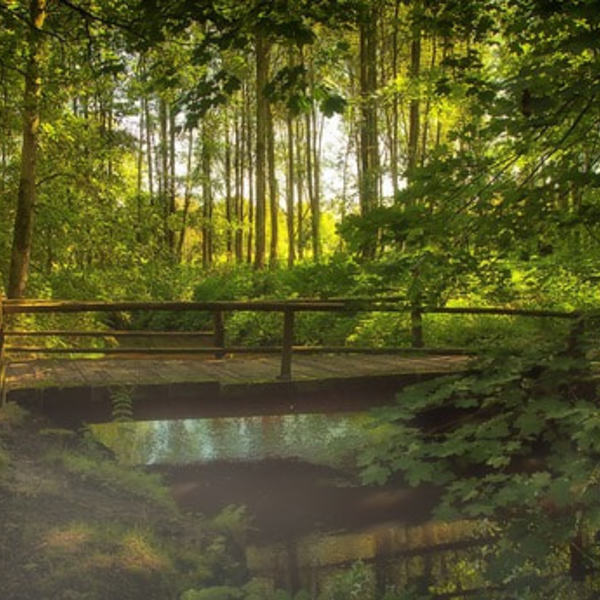 Eine Brücke bauen...