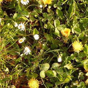 Meditative Pilgerwanderung