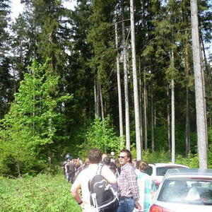 Firmvorbereitung und Firmung