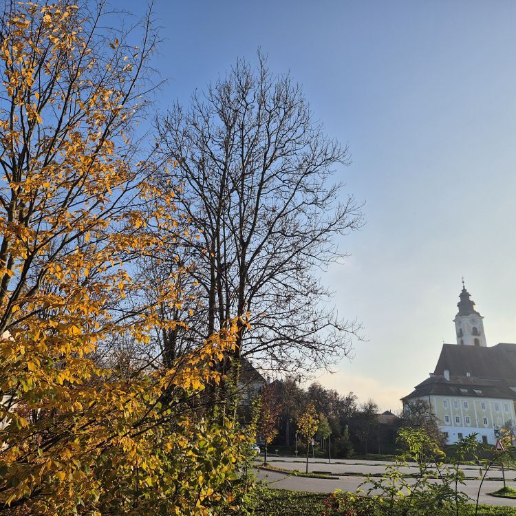 Sonntagsblatt / ©Bild für die Pfarrgemeinde Eferding/Ingrid Neundlinger