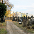 Der jüdische Friedhof in Linz