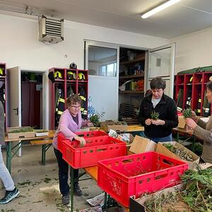 Palmbuschen binden 2023