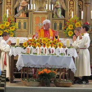 Tag der Tracht 2015 in Traberg