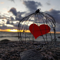 Versöhntes Herz voll Hoffnung