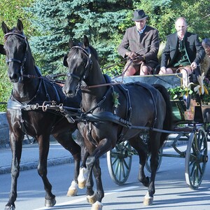 'Gemeinsam DANKE sagen' - die Pfarre Ottnang feiert Erntedank