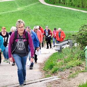 Kreuzweg der KMB auf den Pöstlingberg