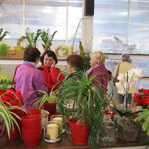 Pfarre Neumarkt im Mühlkreis