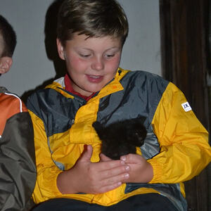 märchenhafte Woche im Mostviertel