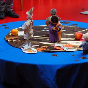 OLYMPUS DIGITAL CAMERA         