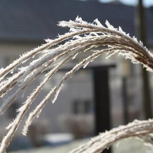 Advent in Ansfelden 2016