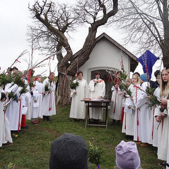 Palmweihe bei der Lohnsiedlkapelle                               