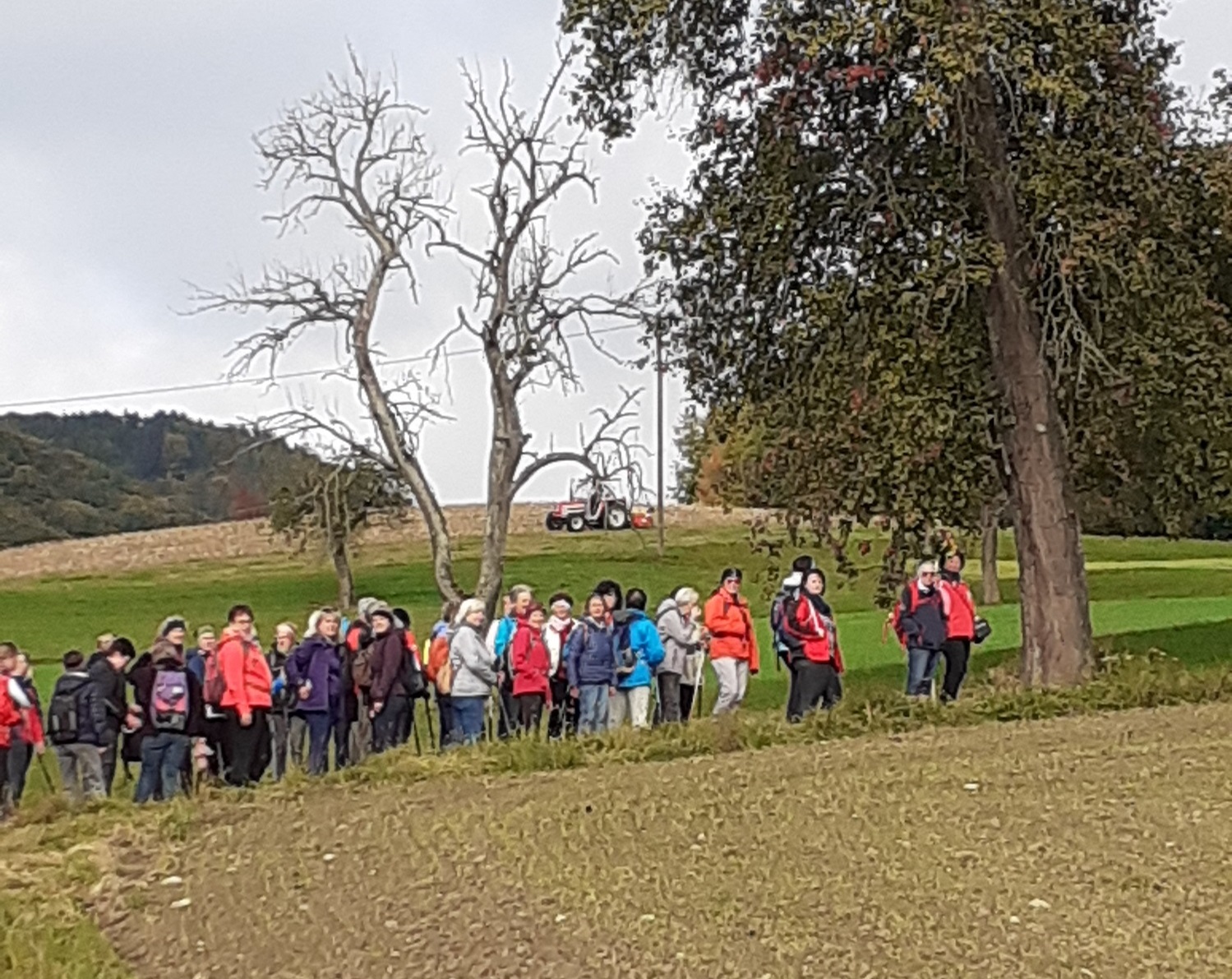Pilgern in Gottes Schöpfung