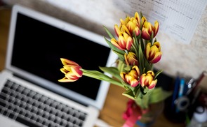 Büro mit Blumen