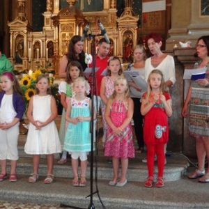 Singvögel singen auch in den Sommerferien 2014 -