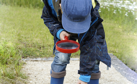 Mit Kindern Gott feiern - Impulse für Zuhause