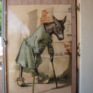 OLYMPUS DIGITAL CAMERA         