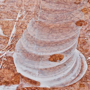 Marmorfliesen polieren