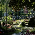 St. Barbara-Friedhof Linz © NIK FLEISCHMANN