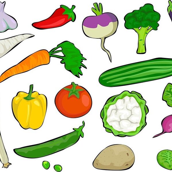 Bild von Prawny auf Pixabay