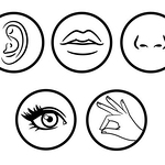 Five senses outline icons vector of set. Mouth and ear, human eye and nose illustration