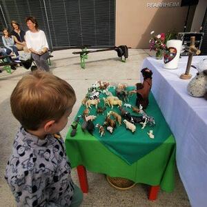 Da kommt schon was zusammen.