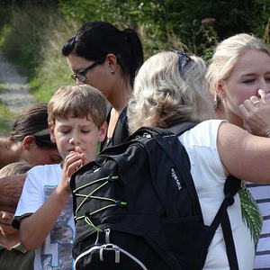Naturerlebnisweg Pfarrwald Vöcklabruck