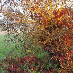 Auf den Spuren des heiligen Hubertus