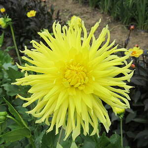 kfb Ausflug 2017 Pfarre Neumarkt im Mühlkreis