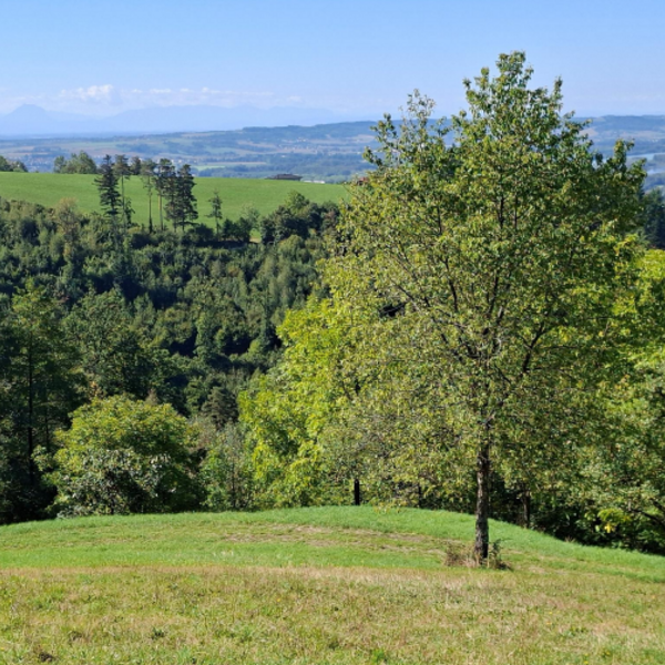 Seniorenwanderung